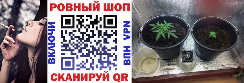 Купить наркотик аптеки Сокол Канабис  A PVP  КОКАИН  гидра tor  ТГК  МЕФ  Метамфетамин  ГАШ 
