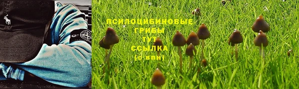 дурь Балахна
