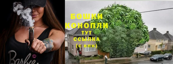 дмт Новозыбков