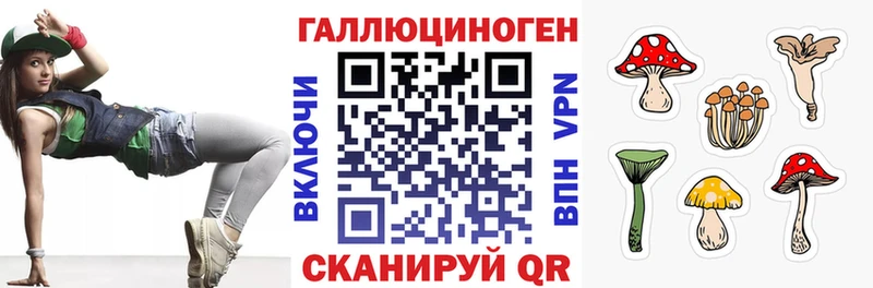 Псилоцибиновые грибы Cubensis  мега ONION  Сокол  продажа наркотиков 