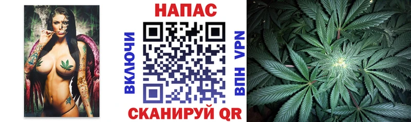 Конопля AK-47  что такое   Сокол 